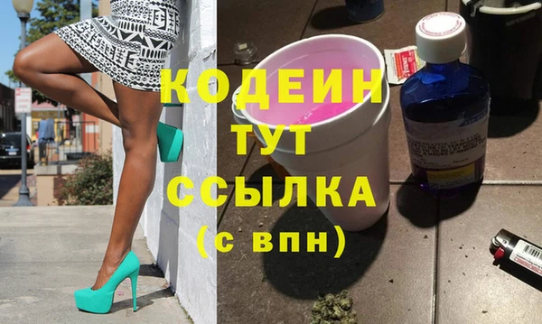 гашик Арсеньев