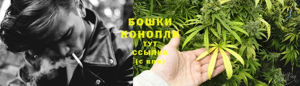 гашик Арсеньев