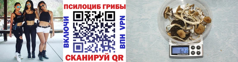 Галлюциногенные грибы мицелий  Струнино 